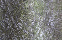 Horneval fibreglass roof work